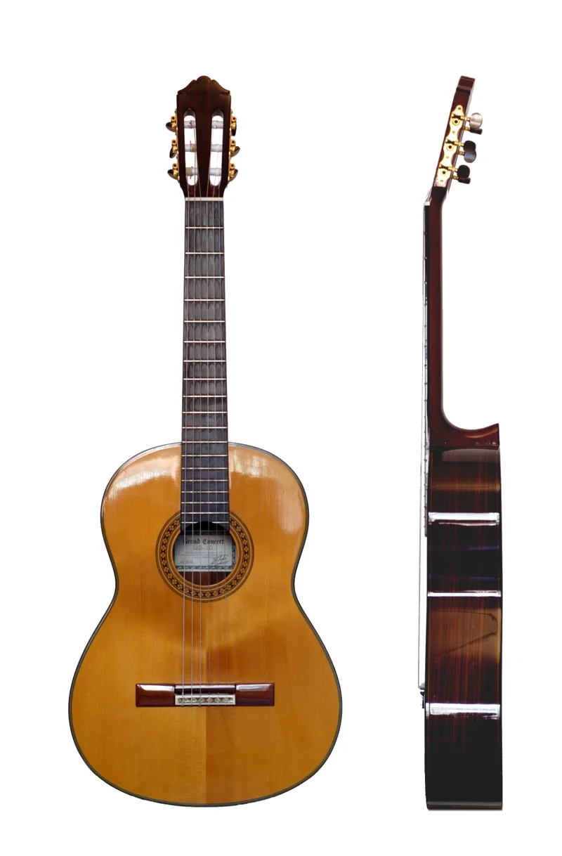 A classical guitar shown from the front and from the side, with a light wooden body, a rosette around the sound hole and a dark fingerboard